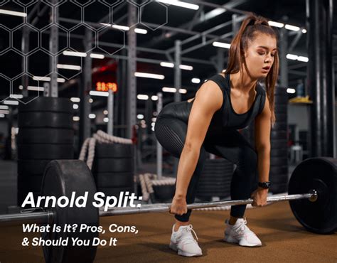 ppl/arnold split|Arnold Split vs PPL : r/Fitness